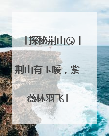 探秘荆山⑤丨荆山有玉暖，紫薇林羽飞